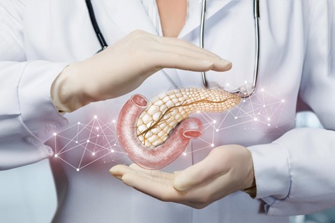 Pancreatitis Decoded: Understanding the Causes, Symptoms, and Treatment